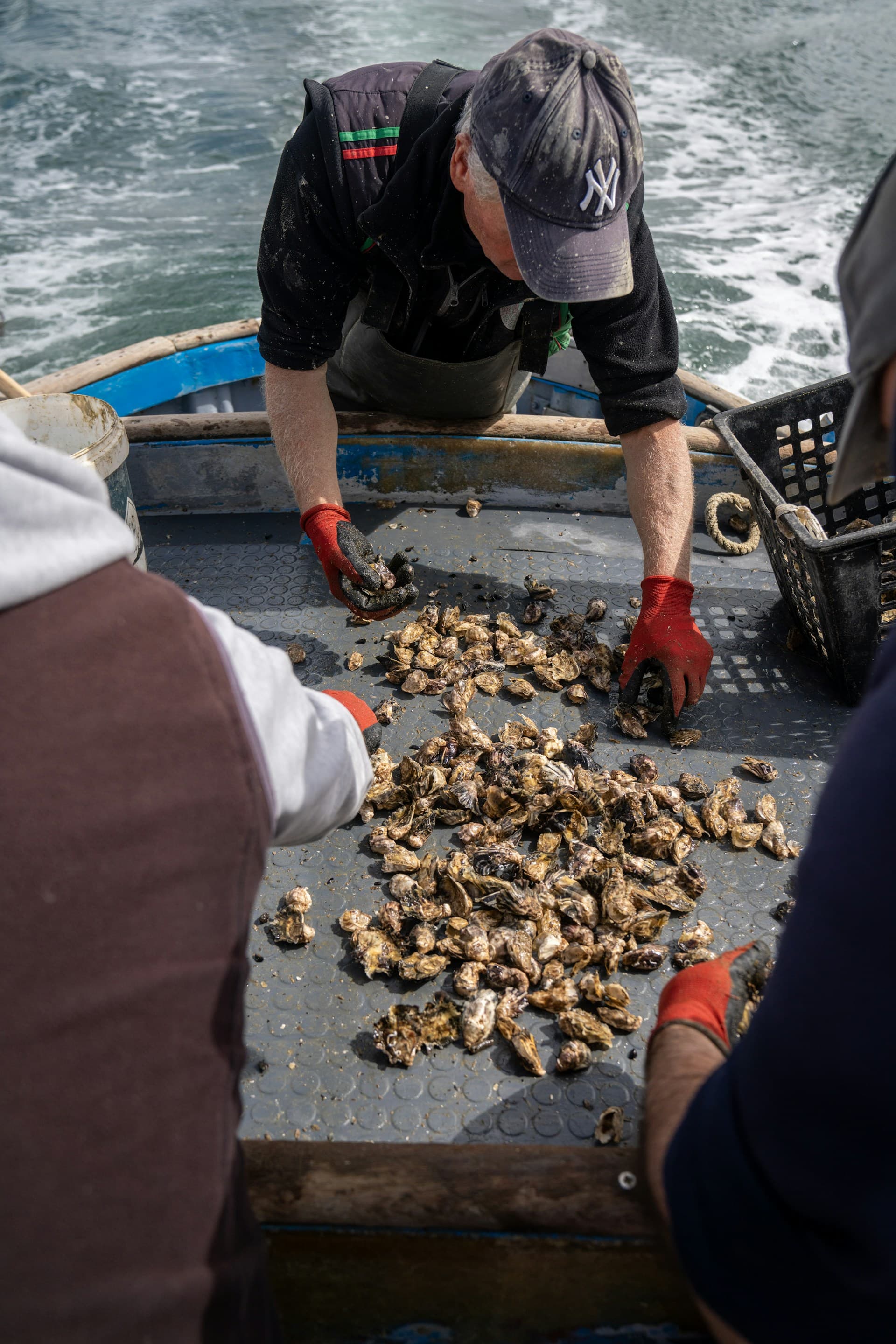 Dégustation au large, sur la barge