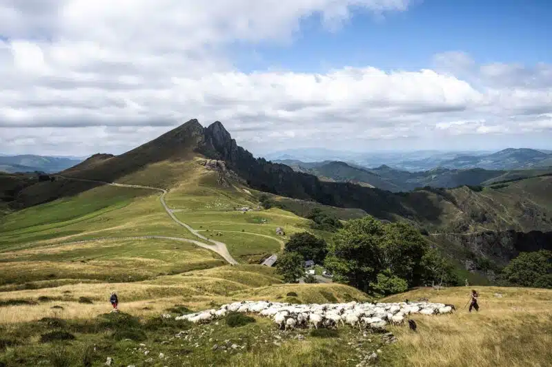 Balade nature - Journée avec les Bergers Transhumants de la Forêt d'Iraty