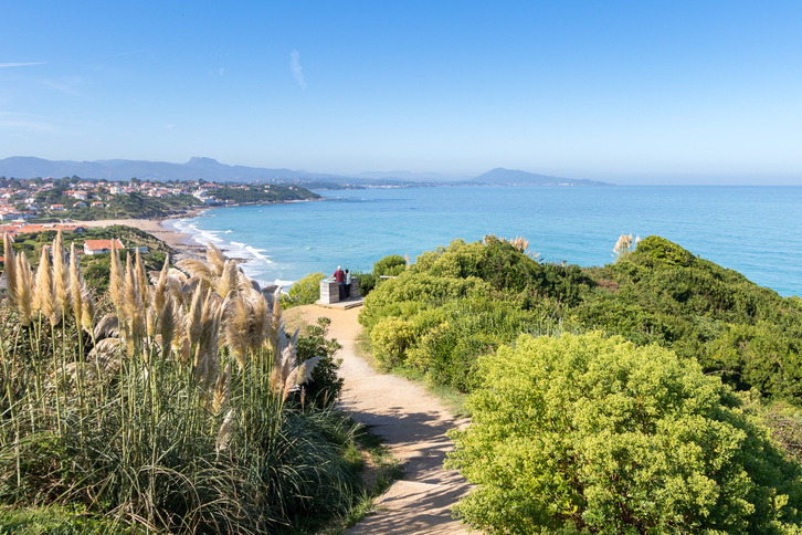 Balade nature - Randonnée Botanique sur le Sentier Préservé du Littoral Basque