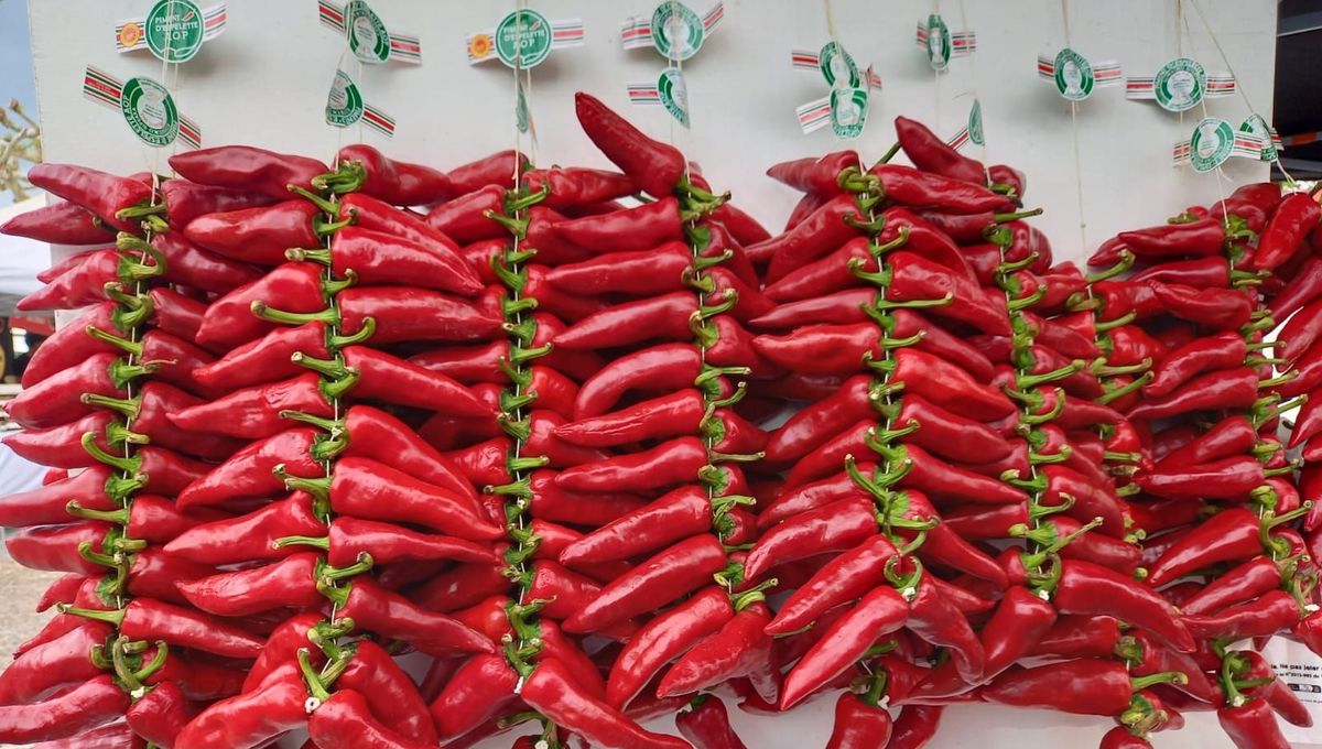 Expérience - À la Découverte du Piment d'Espelette AOP : Trésor Gastronomique Basque