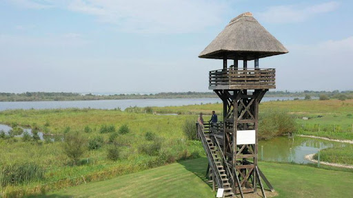 Balade nature - Promenade Naturaliste Marais de la Risle: Oiseaux Rares